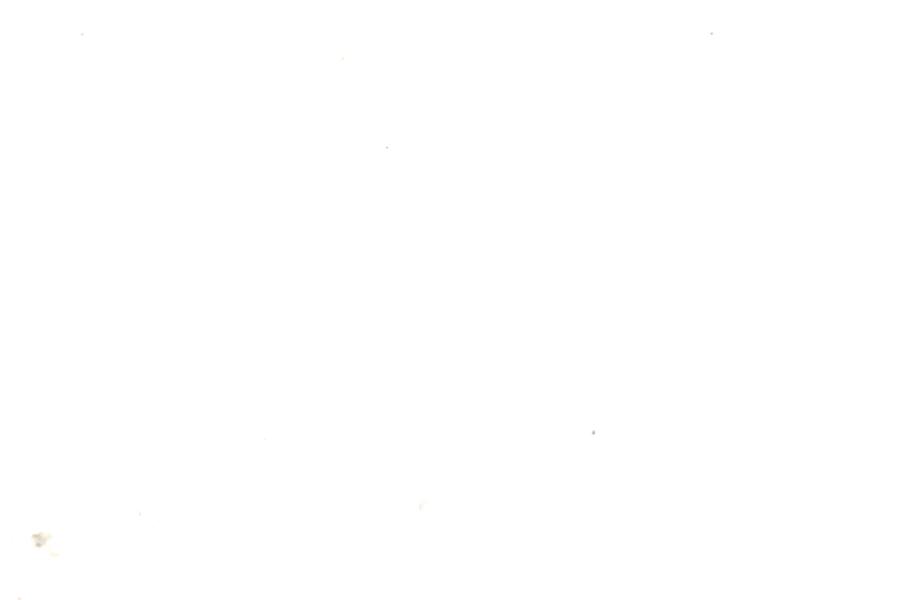 Image 179